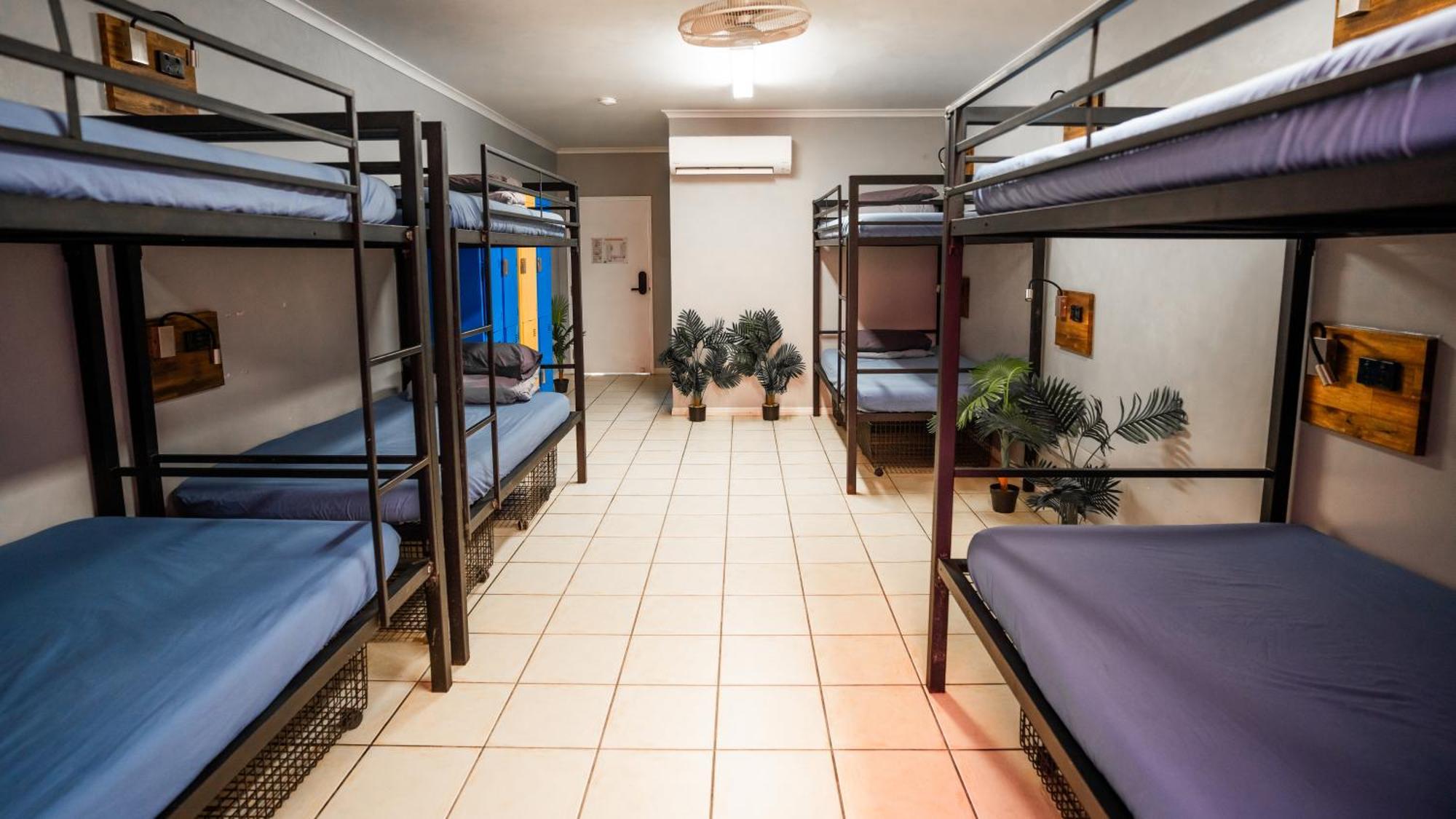 Mad Monkey Jungle Hostel Cairns Bagian luar foto